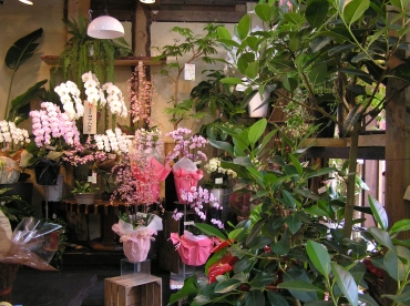 「花ぬすびと」　（神奈川県三浦郡葉山町）の花屋店舗写真3